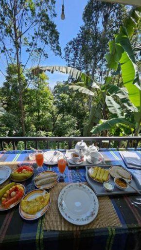 The Bliss Homestay